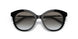 1AB0A7 - Black - Grey Gradient