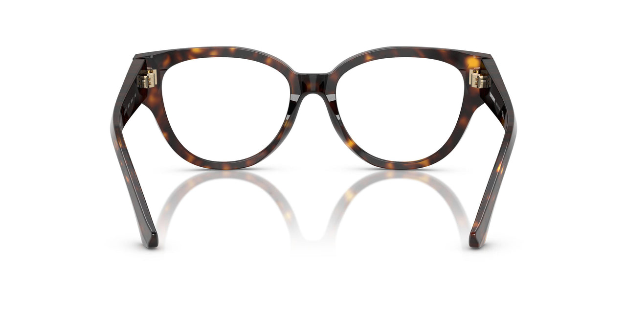 3002 - Brown