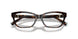 8015 - Tortoise