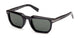 ZEGNA 0240 Sunglasses