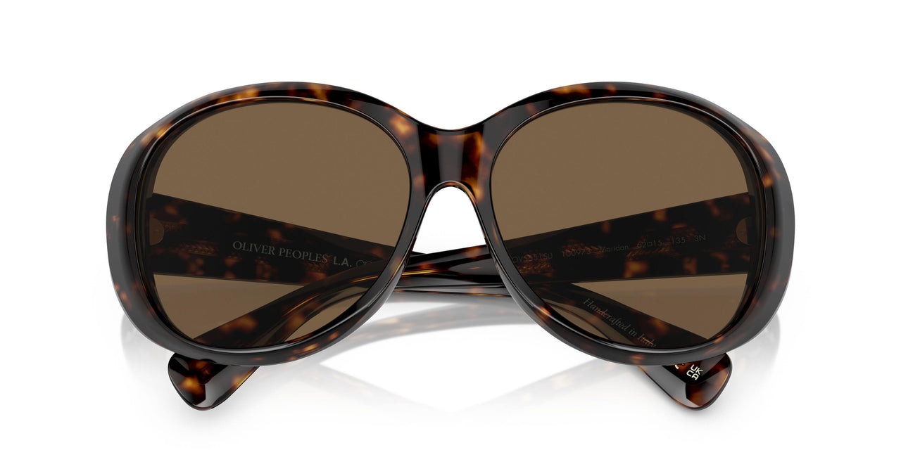 100973 - Tortoise - Brown