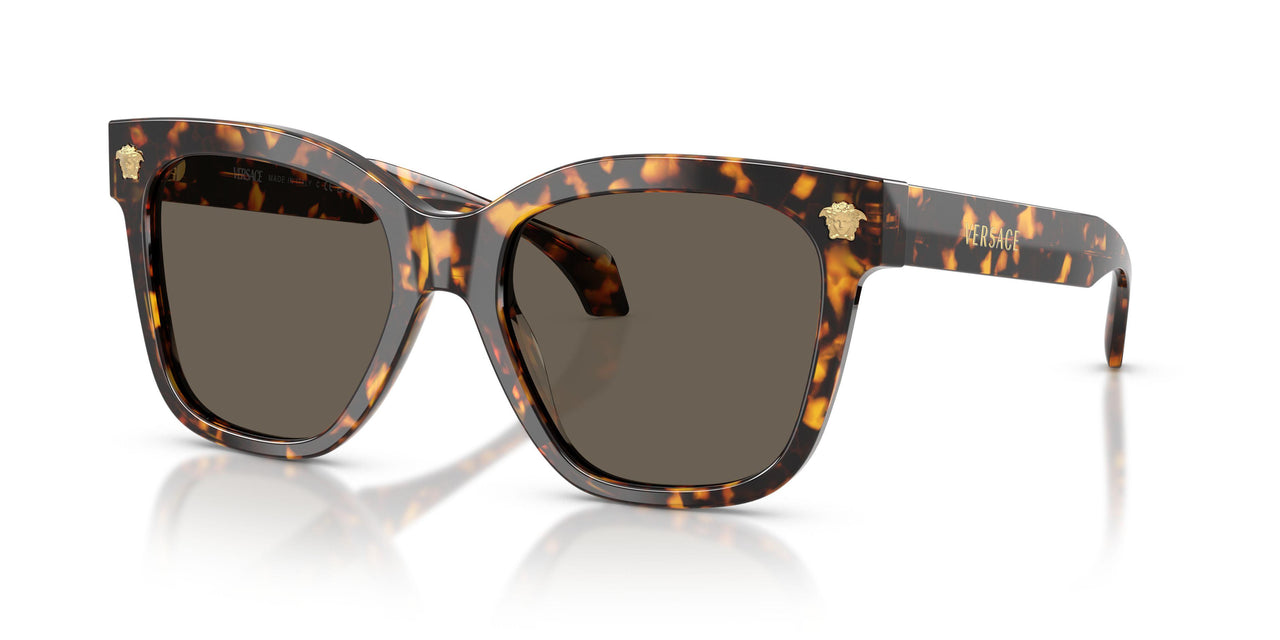 5514/3 - Tortoise - Brown