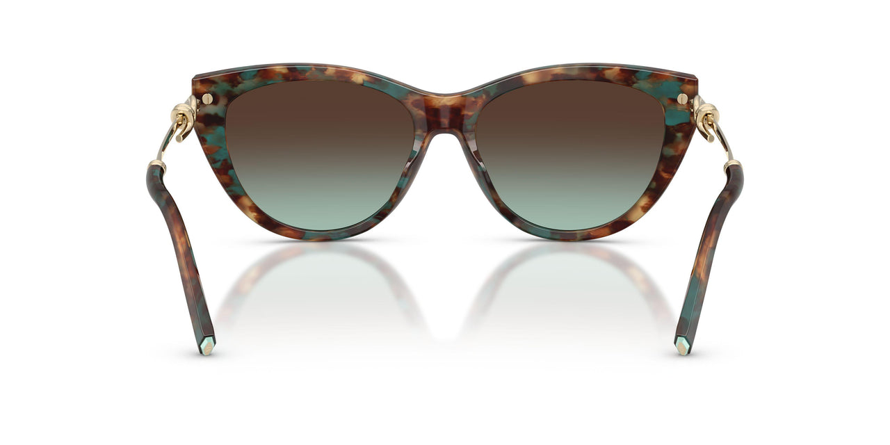 84425D - Tortoise - Azure Gradient Brown