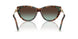 84425D - Tortoise - Azure Gradient Brown
