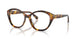 5134 - Tortoise