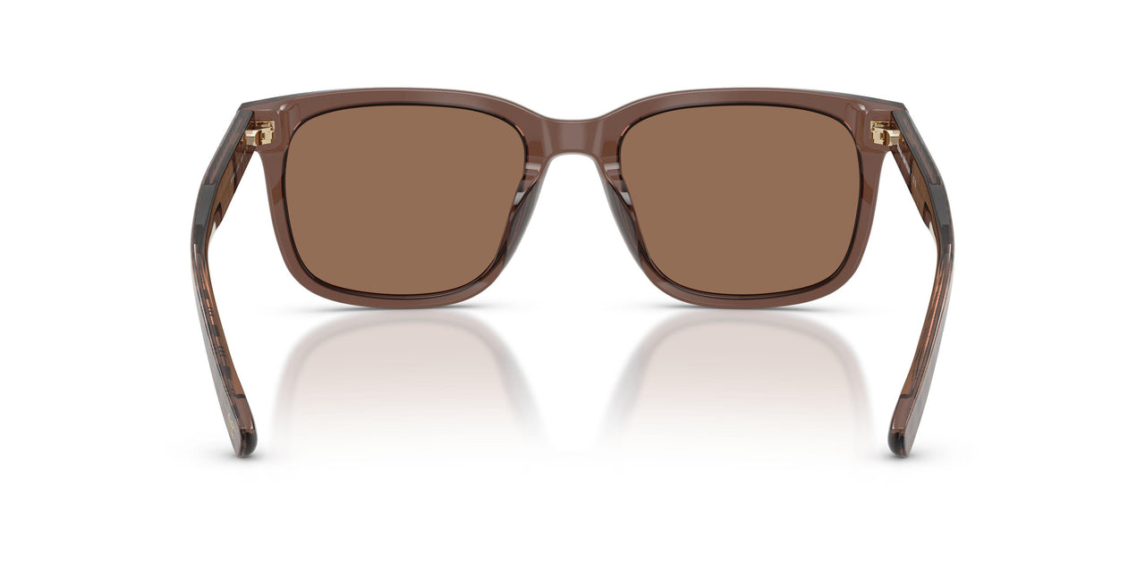 617673 - Brown - Brown
