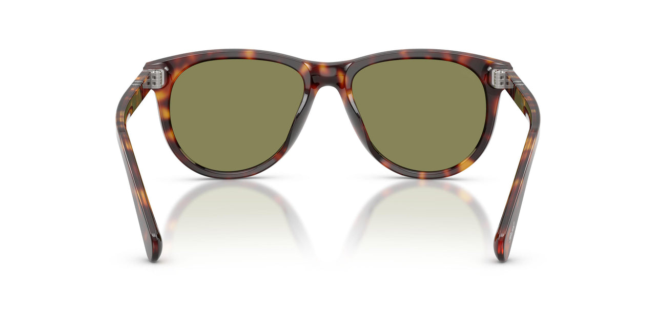 24/4E - Tortoise - Light Green
