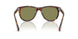 24/4E - Tortoise - Light Green