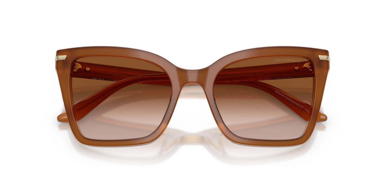 637613 - Brown - Brown Gradient
