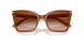 637613 - Brown - Brown Gradient