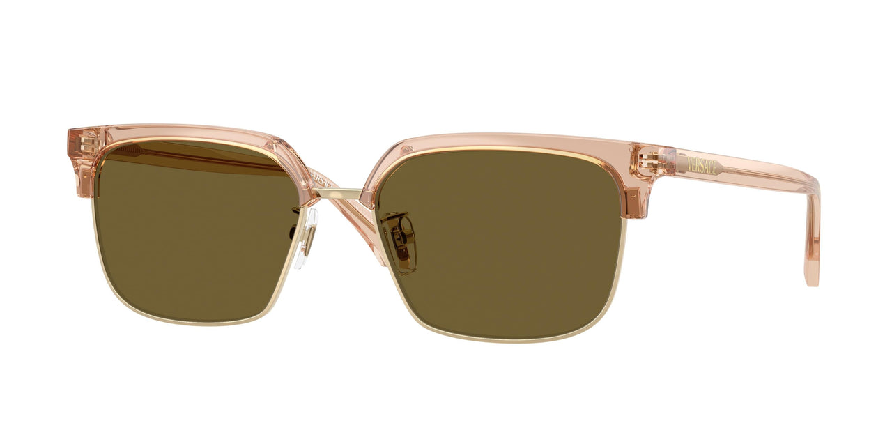 551883 - Brown - Dark Brown