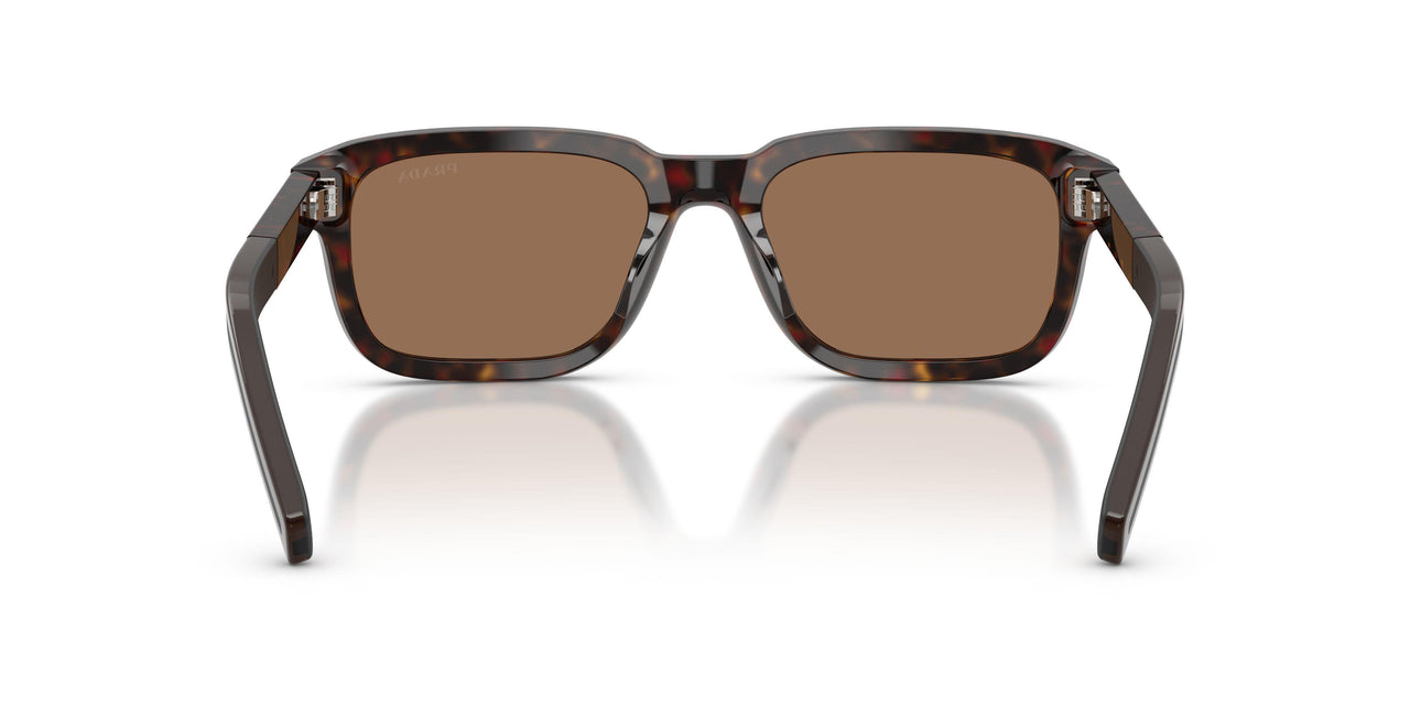 17N60M - Tortoise - Dark Brown