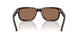 17N60M - Tortoise - Dark Brown