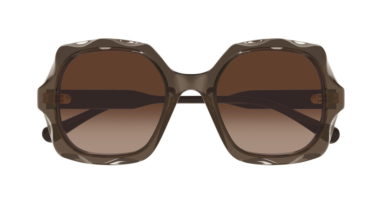 007 - Brown - Copper