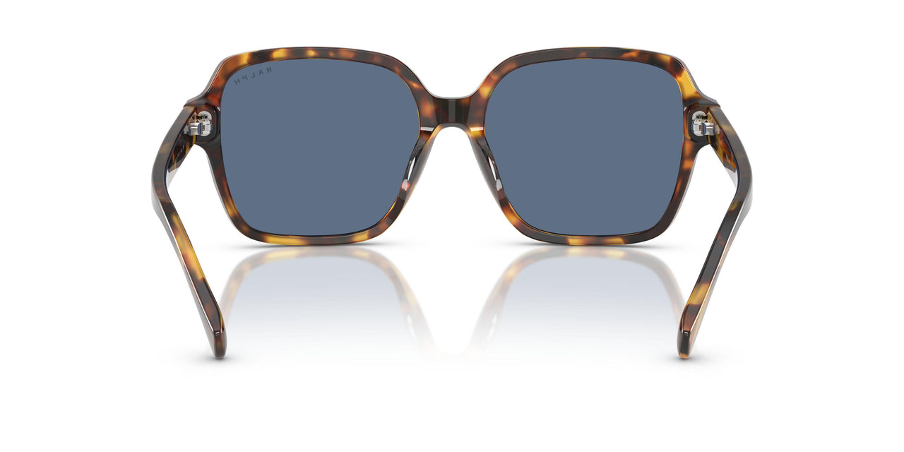 513480 - Tortoise - Dark Blue
