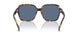 513480 - Tortoise - Dark Blue