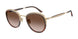 300213 - Gold - Brown Gradient