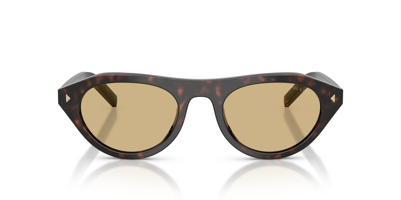 17N70R - Tortoise - Light Brown
