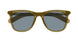 005 - Brown - Blue
