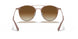 907151 - Light Brown - Clear Gradient Brown