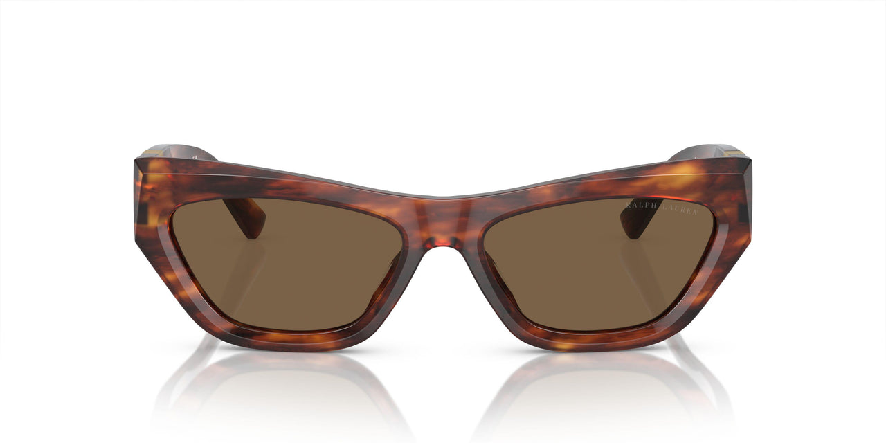 500773 - Brown - Brown