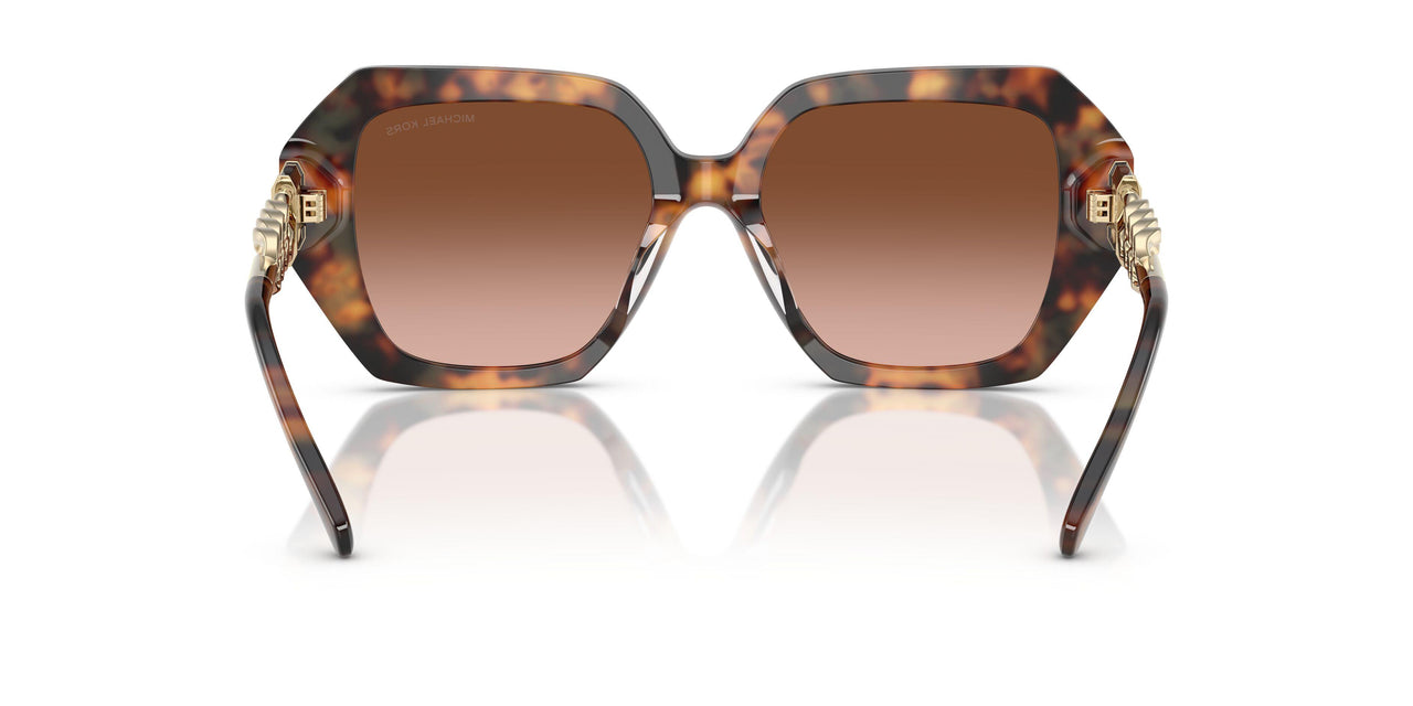 39043B - Tortoise - Brown Gradient