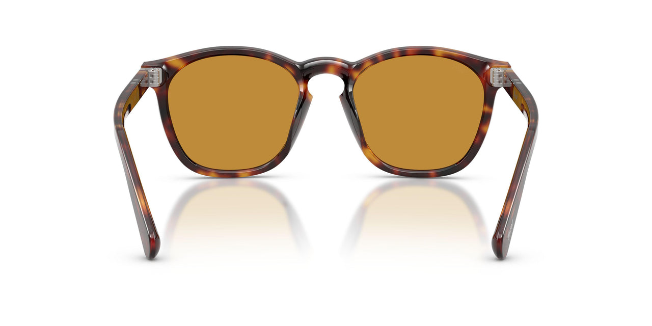 24/53 - Tortoise - Yellow Brown