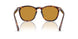 24/53 - Tortoise - Yellow Brown