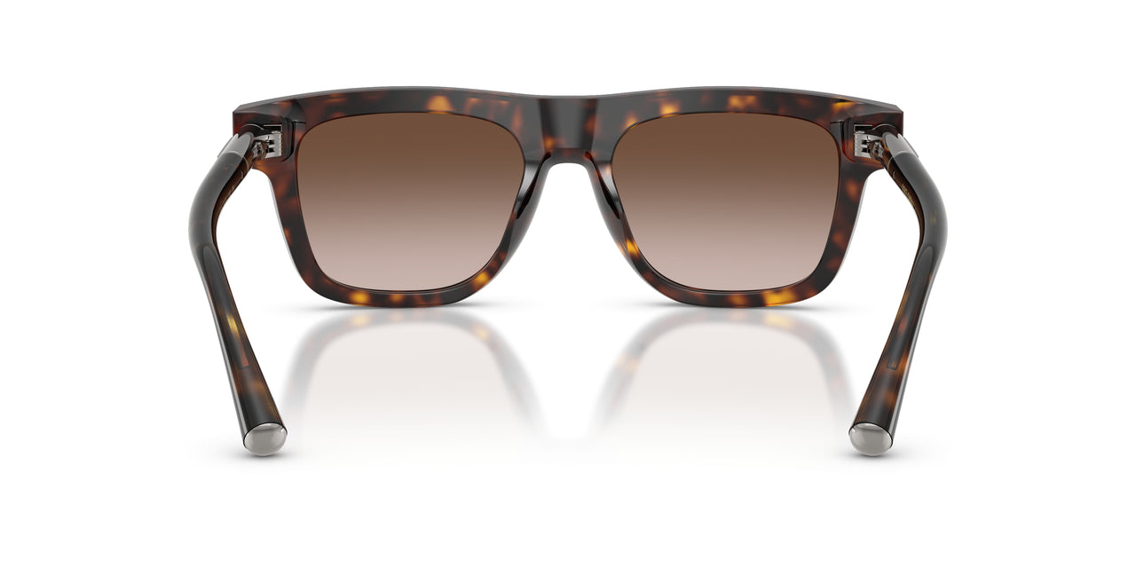 502/13 - Tortoise - Gradient Brown