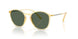 623871 - Yellow - Dark Green