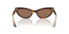 100773 - Tortoise - Brown