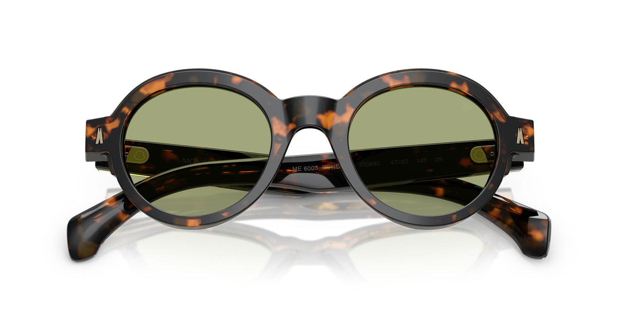 300682 - Tortoise - Green
