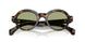 300682 - Tortoise - Green