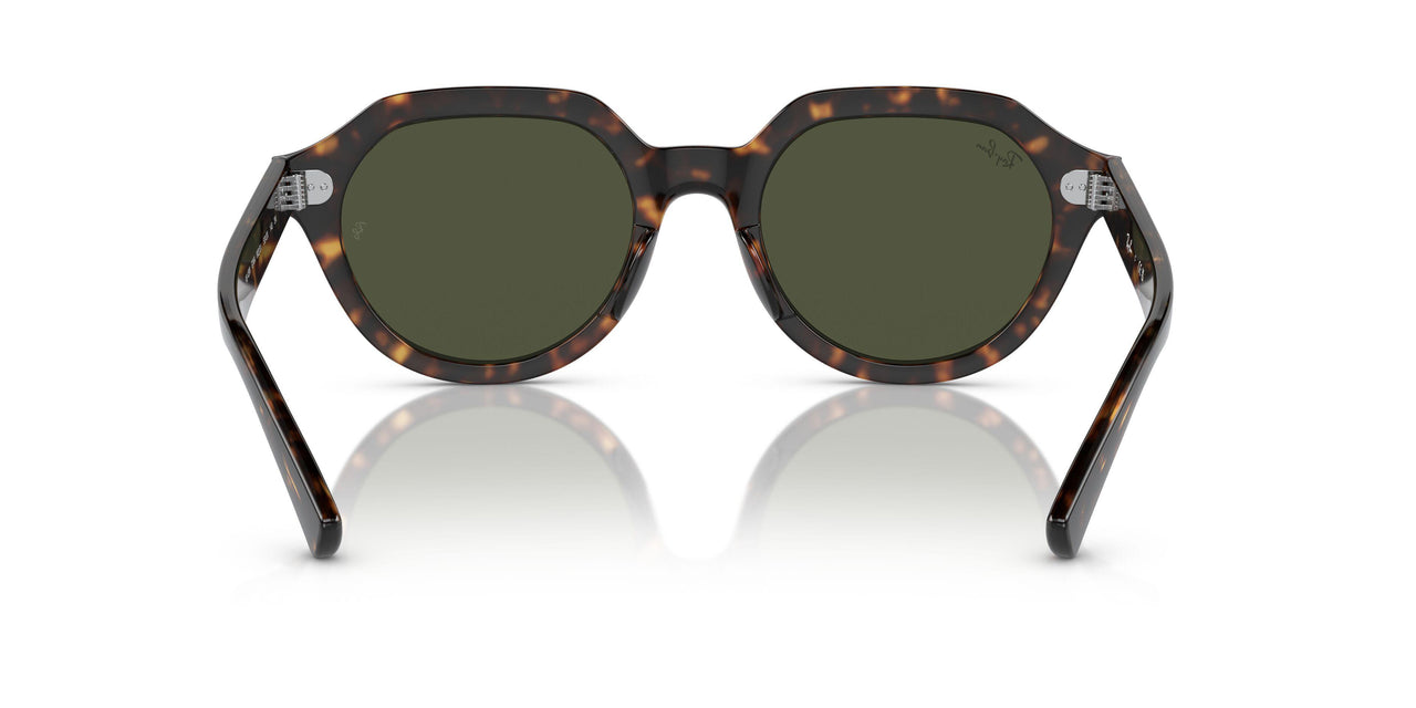 902/31 - Tortoise - Green