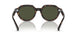 902/31 - Tortoise - Green