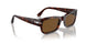 24/57 - Tortoise - Brown Polar