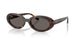 902/B1 - Tortoise - Dark Grey