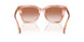 634113 - Pink - Gradient Brown