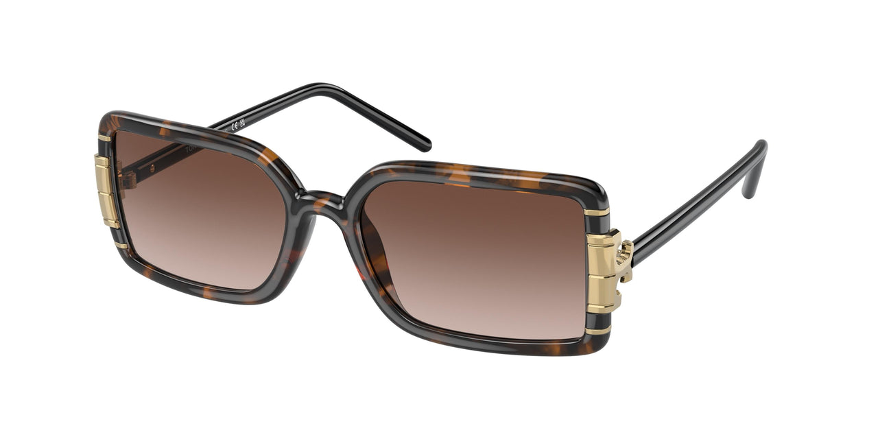178413 - Tortoise - Gradient Brown