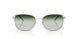 30457Z - Silver - Grey Gradient Green