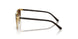 297/13 - Brown - Gradient Brown