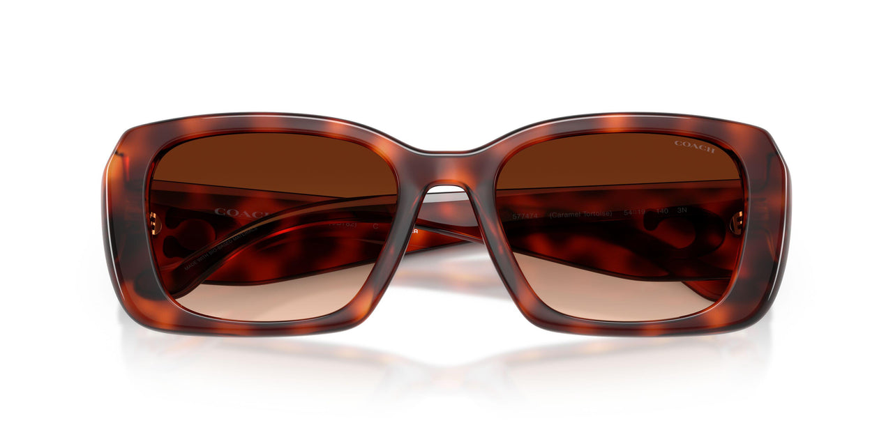 577474 - Tortoise - Brown Gradient
