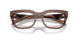 17O1O1 - Brown