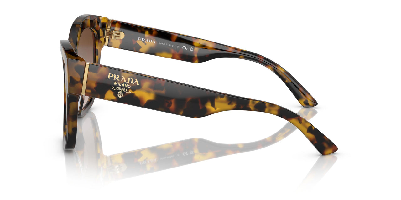 VAU6S1 - Havana - Brown Gradient