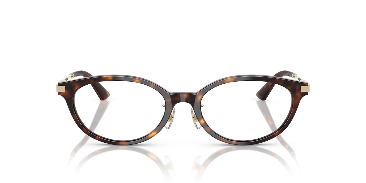 5002 - Tortoise