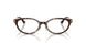 5002 - Tortoise