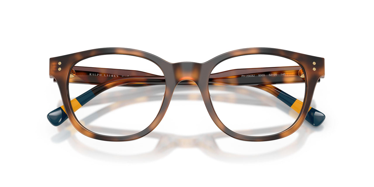 5003 - Tortoise