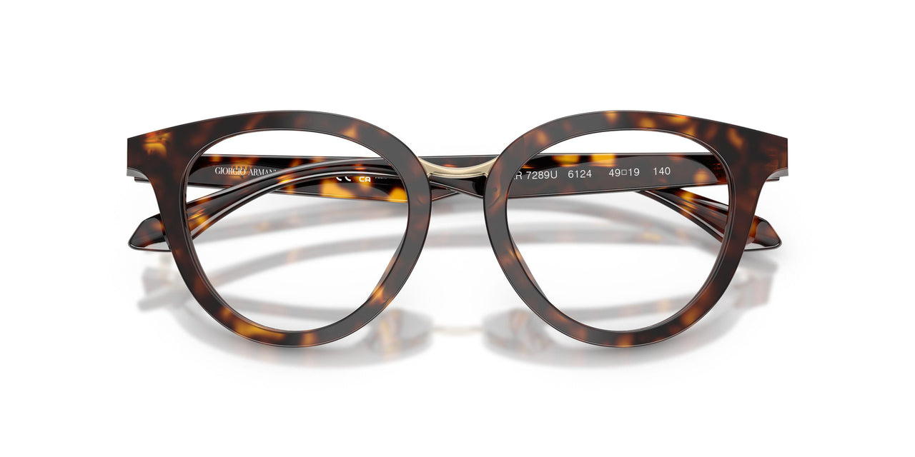 6124 - Tortoise