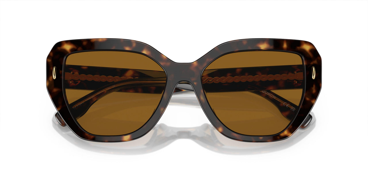 172883 - Tortoise - Solid Dark Brown Polar