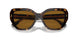 172883 - Tortoise - Solid Dark Brown Polar
